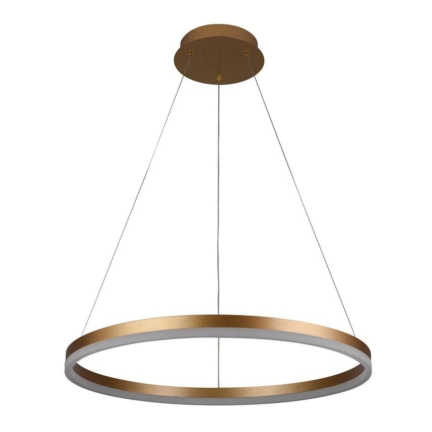 LED Stmívatelný lustr na lanku LED/42W/230V 3000-6500K pr. 60 cm + dálkové ovládání