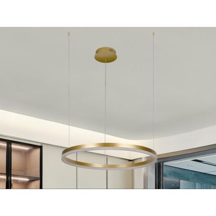 LED Stmívatelný lustr na lanku LED/42W/230V 3000-6500K pr. 60 cm + dálkové ovládání