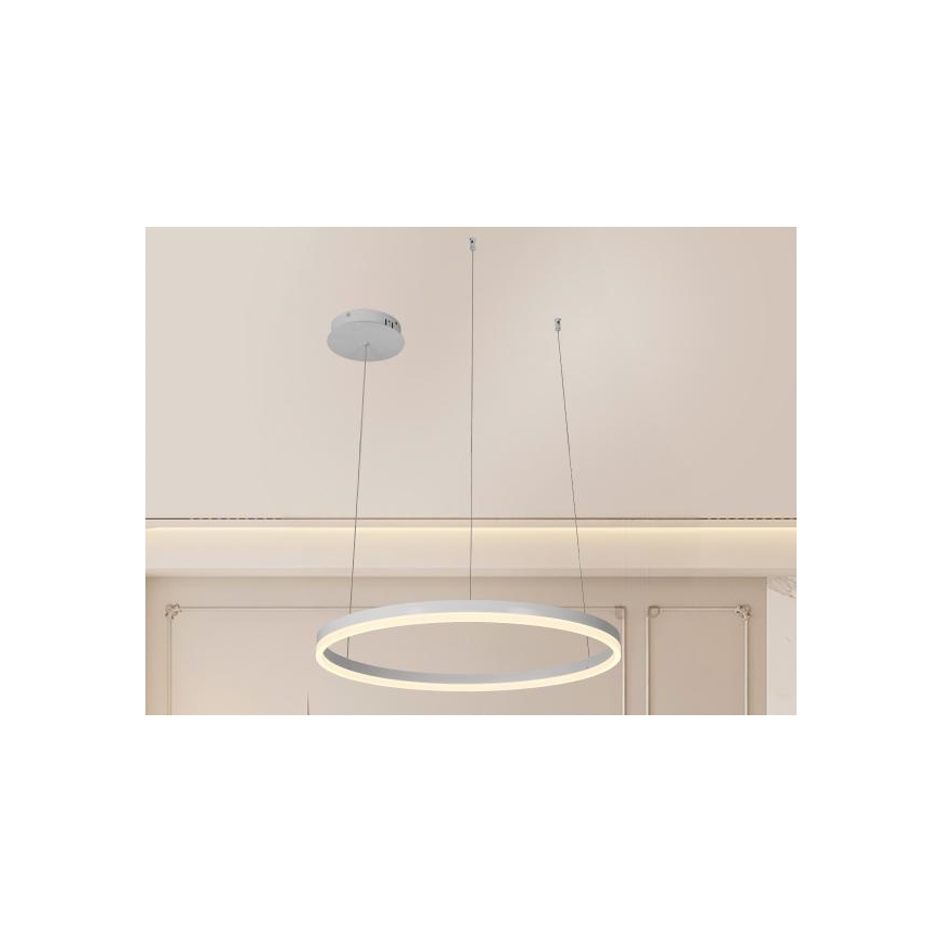 LED Stmívatelný lustr na lanku LED/42W/230V 3000-6500K + dálkové ovládání