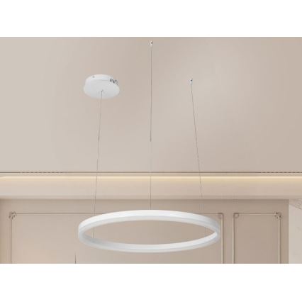 LED Stmívatelný lustr na lanku LED/42W/230V 3000-6500K + dálkové ovládání