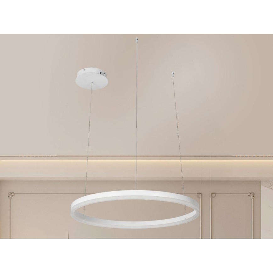 LED Stmívatelný lustr na lanku LED/42W/230V 3000-6500K + dálkové ovládání