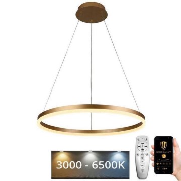 LED Stmívatelný lustr na lanku LED/42W/230V 3000-6500K pr. 60 cm + dálkové ovládání