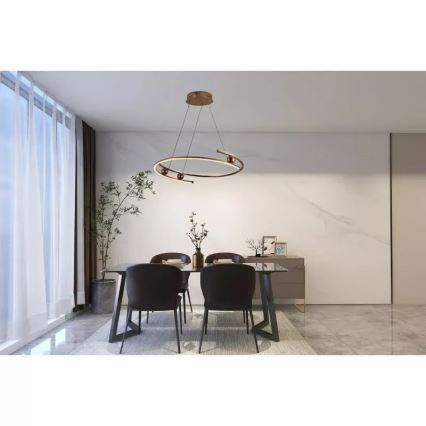 LED Stmívatelný lustr na lanku LED/50W/230V 3000-6500K pr. 60 cm + dálkové ovládání