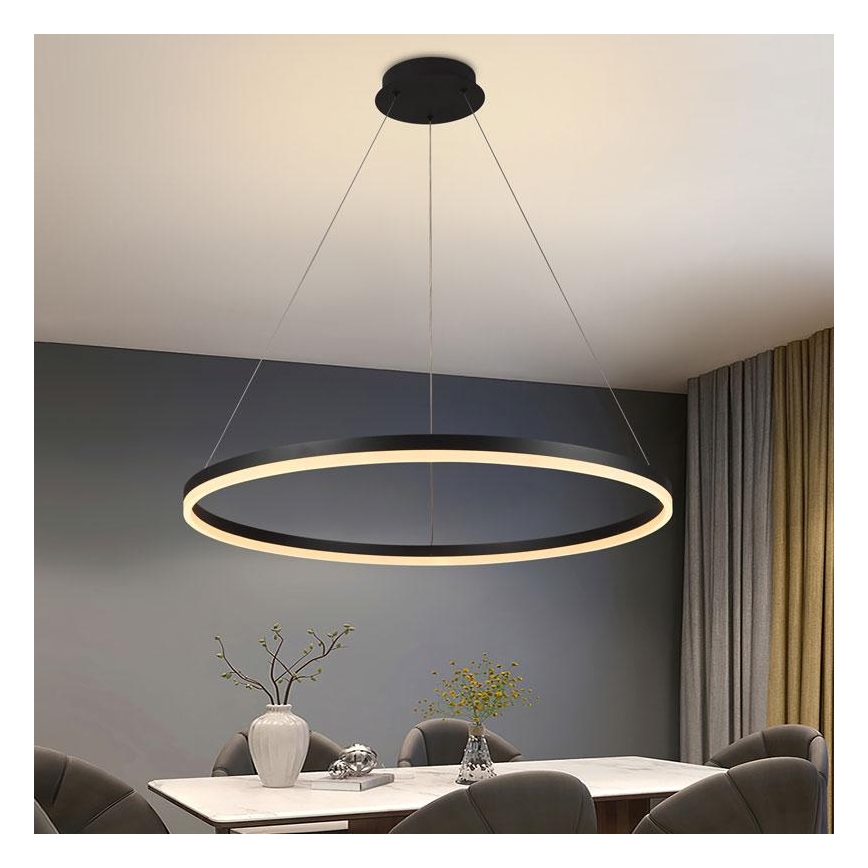 LED Stmívatelný lustr na lanku LED/55W/230V 3000-6500K + dálkové ovládání