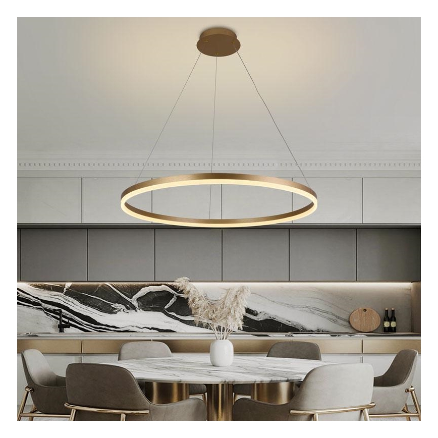 LED Stmívatelný lustr na lanku LED/55W/230V 3000-6500K + dálkové ovládání