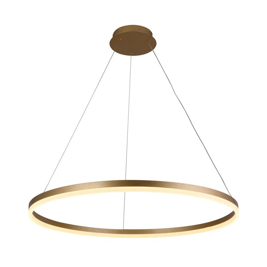 LED Stmívatelný lustr na lanku LED/55W/230V 3000-6500K + dálkové ovládání