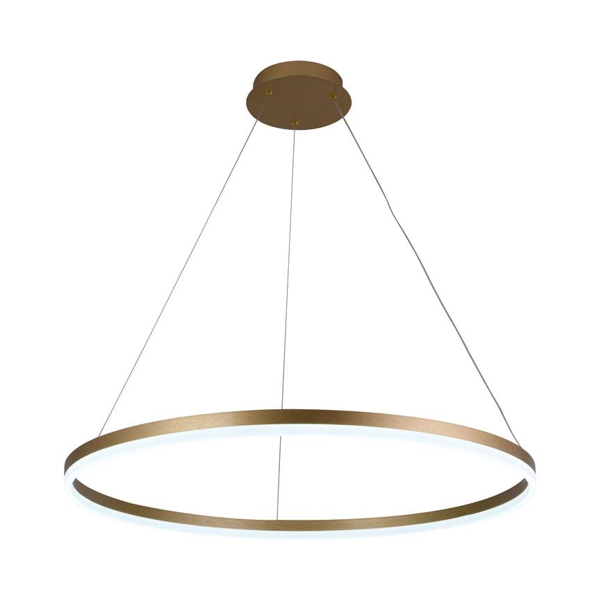 LED Stmívatelný lustr na lanku LED/55W/230V 3000-6500K + dálkové ovládání