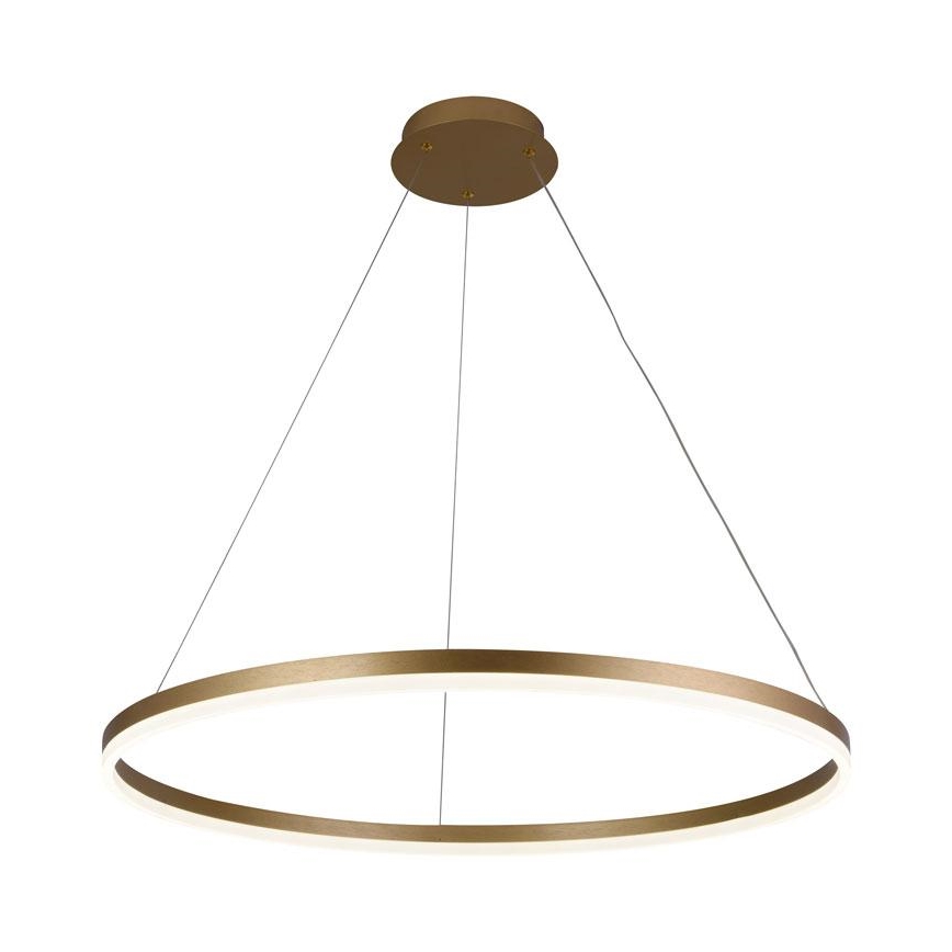LED Stmívatelný lustr na lanku LED/55W/230V 3000-6500K + dálkové ovládání