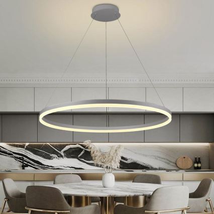 LED Stmívatelný lustr na lanku LED/55W/230V 3000-6500K pr. 80 cm + dálkové ovládání