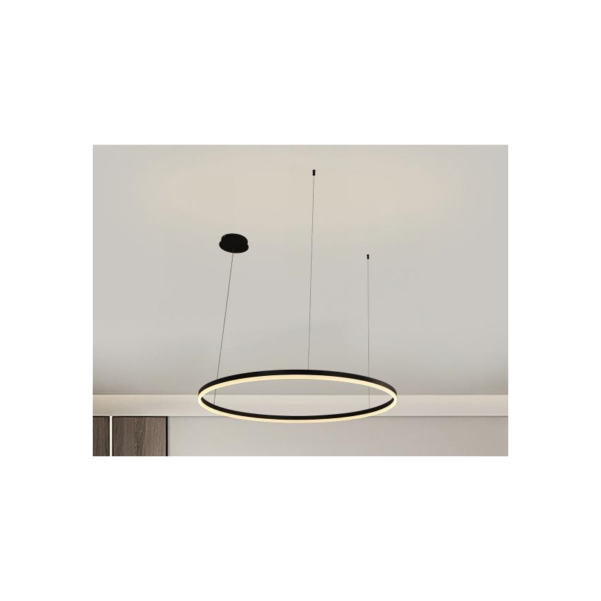 LED Stmívatelný lustr na lanku LED/55W/230V 3000-6500K + dálkové ovládání