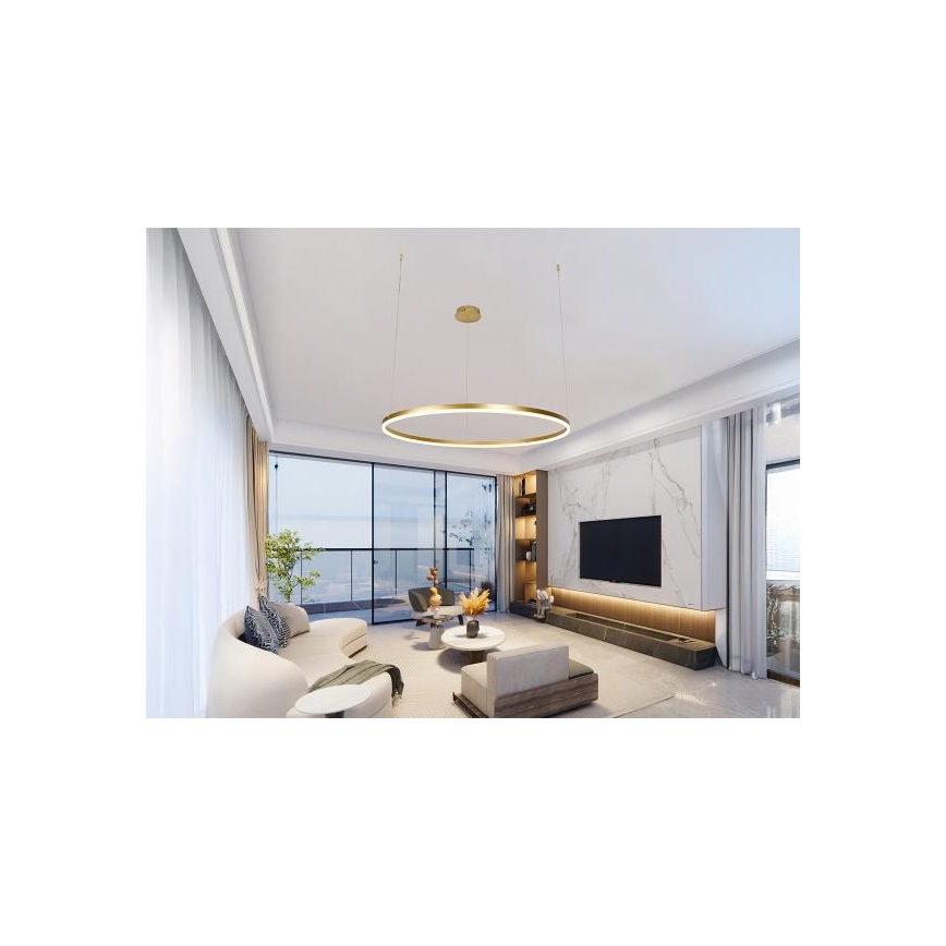 LED Stmívatelný lustr na lanku LED/55W/230V 3000-6500K pr. 80 cm + dálkové ovládání