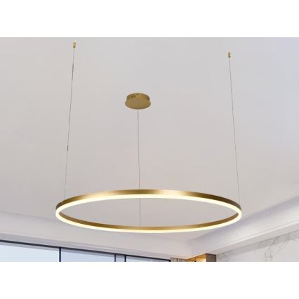 LED Stmívatelný lustr na lanku LED/55W/230V 3000-6500K pr. 80 cm + dálkové ovládání