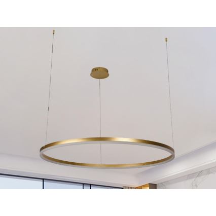 LED Stmívatelný lustr na lanku LED/55W/230V 3000-6500K pr. 80 cm + dálkové ovládání