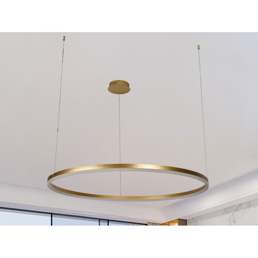 LED Stmívatelný lustr na lanku LED/55W/230V 3000-6500K pr. 80 cm + dálkové ovládání