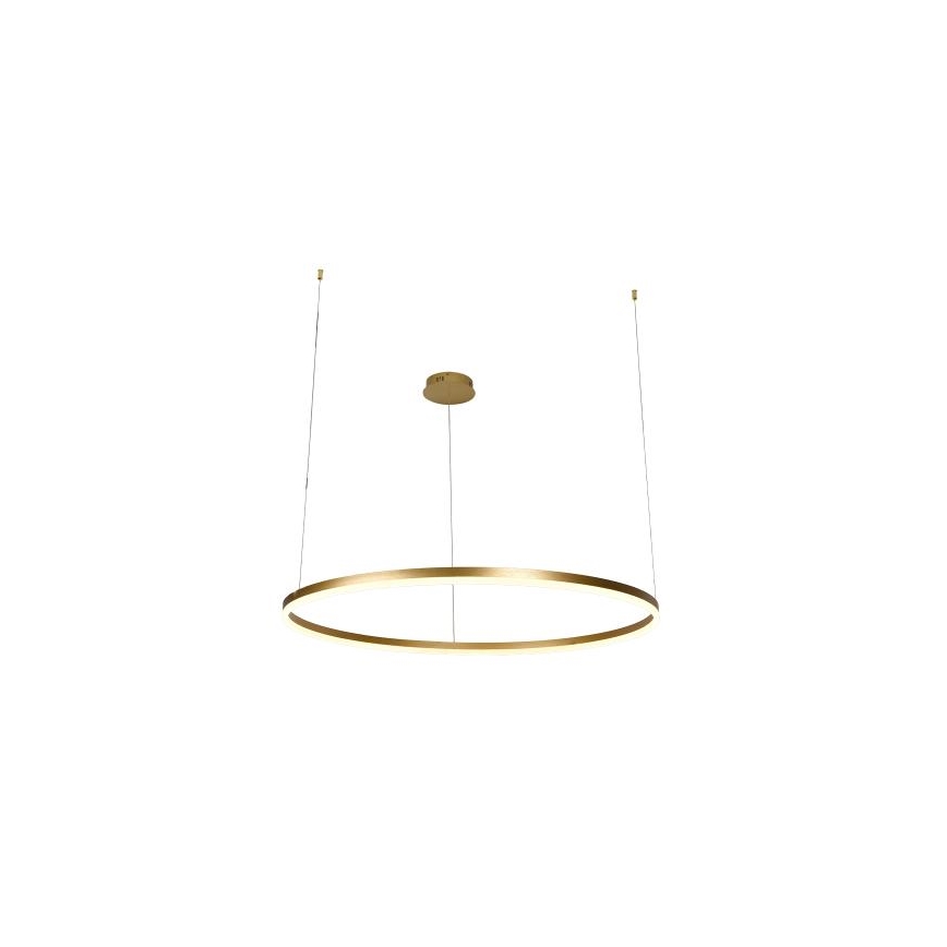 LED Stmívatelný lustr na lanku LED/55W/230V 3000-6500K pr. 80 cm + dálkové ovládání
