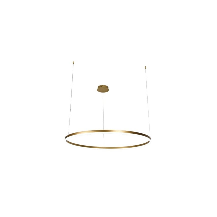 LED Stmívatelný lustr na lanku LED/55W/230V 3000-6500K pr. 80 cm + dálkové ovládání