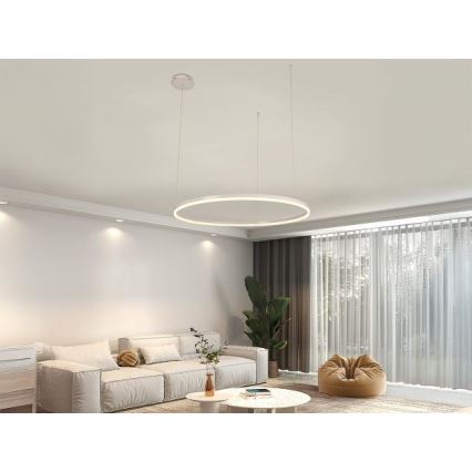 LED Stmívatelný lustr na lanku LED/55W/230V 3000-6500K + dálkové ovládání