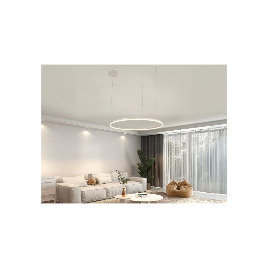 LED Stmívatelný lustr na lanku LED/55W/230V 3000-6500K + dálkové ovládání