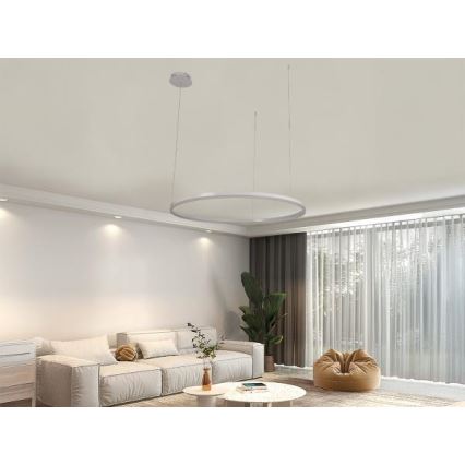 LED Stmívatelný lustr na lanku LED/55W/230V 3000-6500K + dálkové ovládání