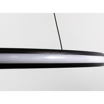 LED Stmívatelný lustr na lanku LED/55W/230V 3000-6500K pr. 60 cm + dálkové ovládání