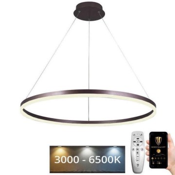 LED Stmívatelný lustr na lanku LED/55W/230V 3000-6500K pr. 80 cm + dálkové ovládání