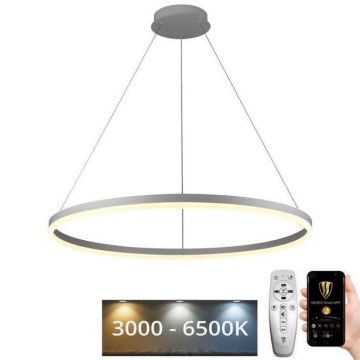 LED Stmívatelný lustr na lanku LED/55W/230V 3000-6500K pr. 80 cm + dálkové ovládání