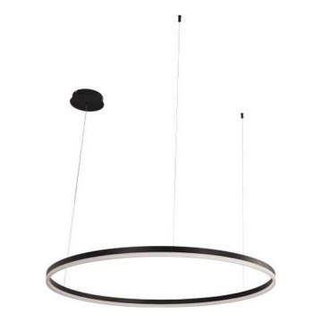 LED Stmívatelný lustr na lanku LED/55W/230V 3000-6500K pr. 80 cm + dálkové ovládání