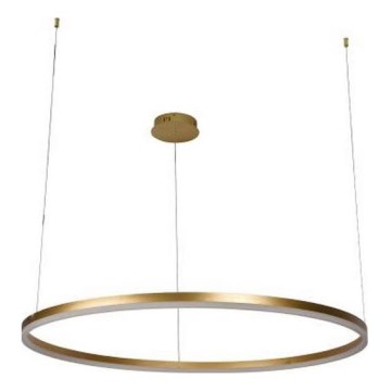 LED Stmívatelný lustr na lanku LED/55W/230V 3000-6500K pr. 80 cm + dálkové ovládání