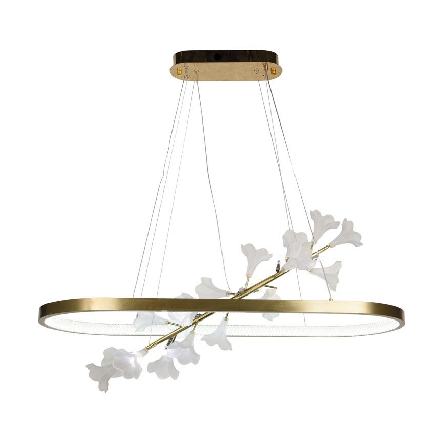 LED Stmívatelný lustr na lanku LED/65W/230V 3000-6500K + dálkové ovládání