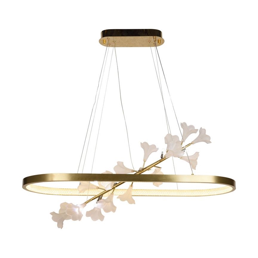 LED Stmívatelný lustr na lanku LED/65W/230V 3000-6500K + dálkové ovládání
