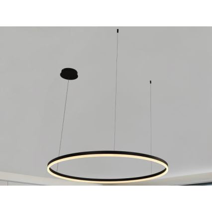 LED Stmívatelný lustr na lanku LED/72W/230V 3000-6500K + dálkové ovládání