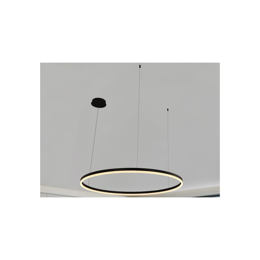 LED Stmívatelný lustr na lanku LED/72W/230V 3000-6500K + dálkové ovládání