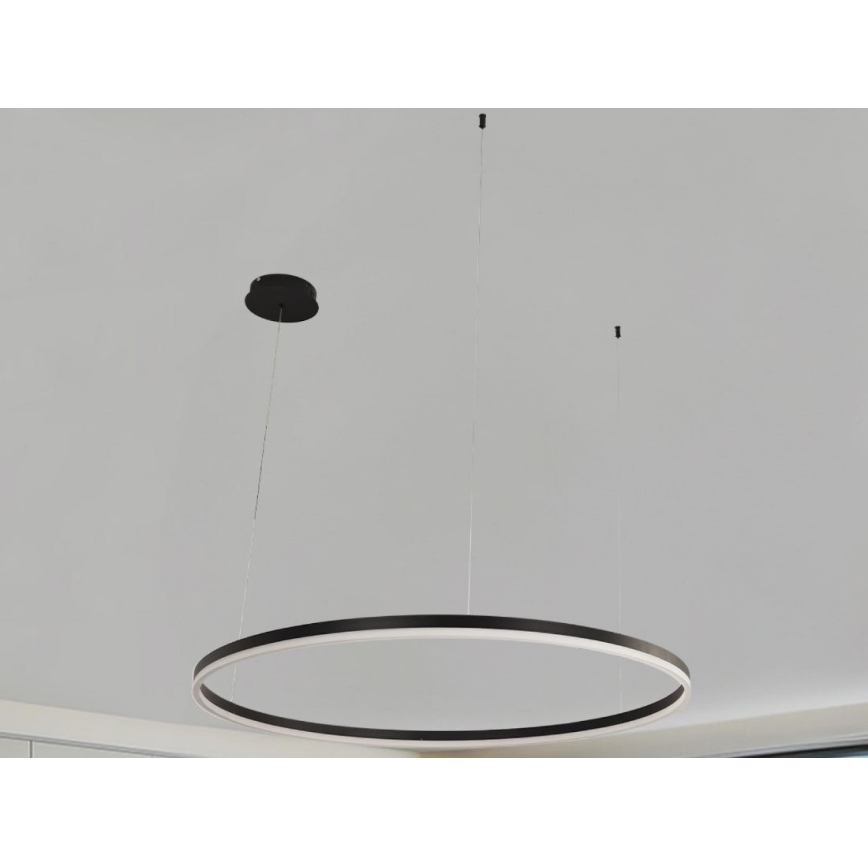 LED Stmívatelný lustr na lanku LED/72W/230V 3000-6500K + dálkové ovládání