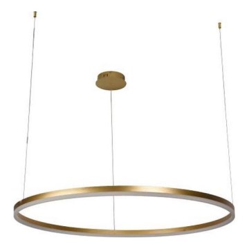 LED Stmívatelný lustr na lanku LED/72W/230V 3000-6500K + dálkové ovládání