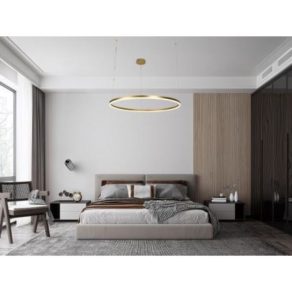 LED Stmívatelný lustr na lanku LED/72W/230V 3000-6500K + dálkové ovládání