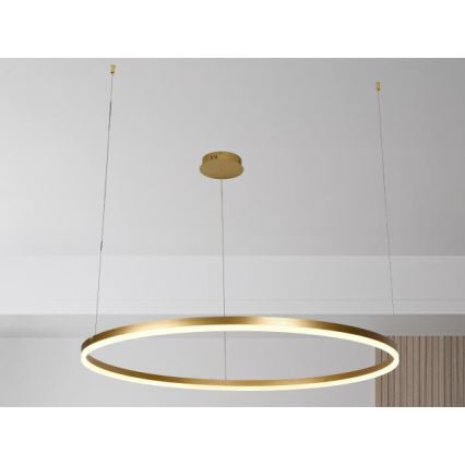 LED Stmívatelný lustr na lanku LED/72W/230V 3000-6500K + dálkové ovládání