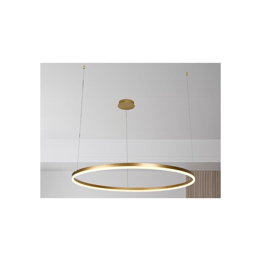 LED Stmívatelný lustr na lanku LED/72W/230V 3000-6500K + dálkové ovládání