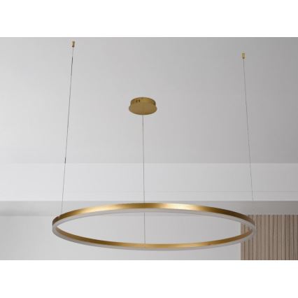 LED Stmívatelný lustr na lanku LED/72W/230V 3000-6500K + dálkové ovládání