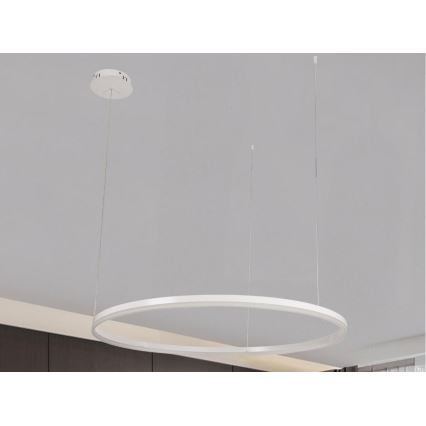 LED Stmívatelný lustr na lanku LED/72W/230V 3000-6500K + dálkové ovládání