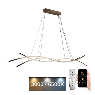 LED Stmívatelný lustr na lanku LED/80W/230V 3000-6500K + dálkové ovládání
