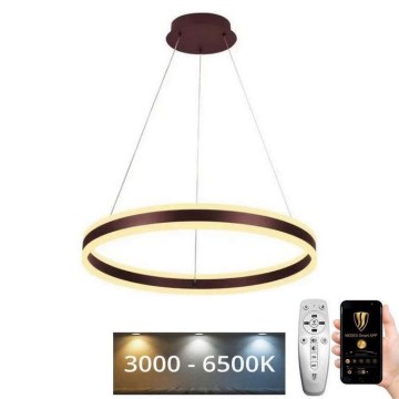 LED Stmívatelný lustr na lanku LED/85W/230V 3000-6500K pr. 60 cm + dálkové ovládání