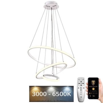 LED Stmívatelný lustr na lanku LED/90W/230V 3000-6500K pr. 60 cm + dálkové ovládání