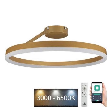 LED Stmívatelný přisazený lustr LED/40W/230V 3000-6500K zlatá + dálkové ovládání