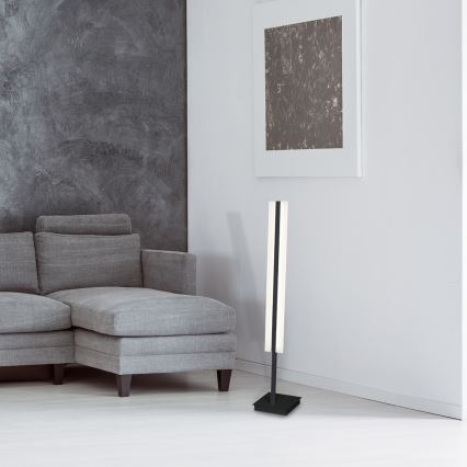 LED Stojací lampa RAY 1xLED/36W/230V