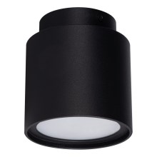 LED Stropní bodové svítidlo SONOR 1xGU10/10W/230V + LED/4W černá