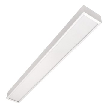 LED Stropní přisazené závěsné svítidlo CYNIDECO LED/12W/230V 4000K bílá