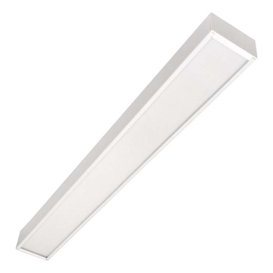 LED Stropní přisazené závěsné svítidlo CYNIDECO LED/12W/230V 4000K bílá