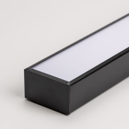 LED Stropní přisazené závěsné svítidlo CYNIDECO LED/12W/230V 4000K černá