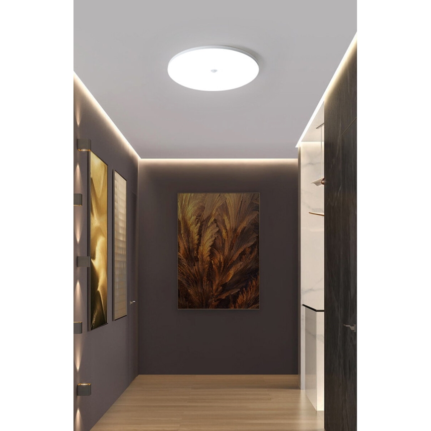 LED Stropní svítidlo se senzorem soumraku a pohybu MORETTI LED/24W/230V pr. 30 cm IP40 6500K