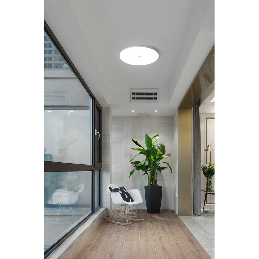 LED Stropní svítidlo se senzorem soumraku a pohybu MORETTI LED/24W/230V pr. 30 cm IP40 6500K